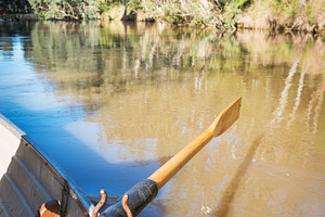 Rowing Yarra River Melbourne, a School & Education Photo by THP Creative