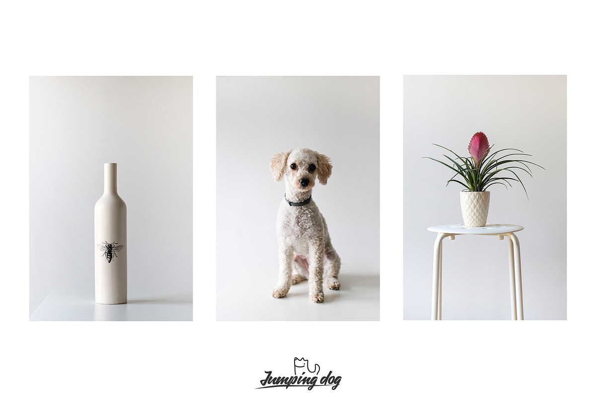Pale Pink & Soft Beige Photo Pack, a Social Media Template by Jumping Dog (Photo 3 of 6)