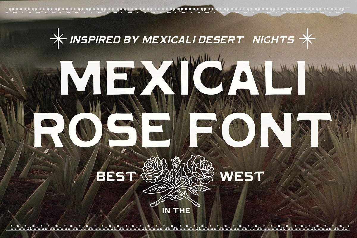 MEXICALI ROSE DISPLAY FONT, a Sans Serif Font by LONESTARTYPEFOUNDRY (Photo 1 of 5)