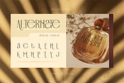 Catsumi - Elegant San Serif, a Sans Serif Font by Burntilldead (Thumbnail 6 of 11)