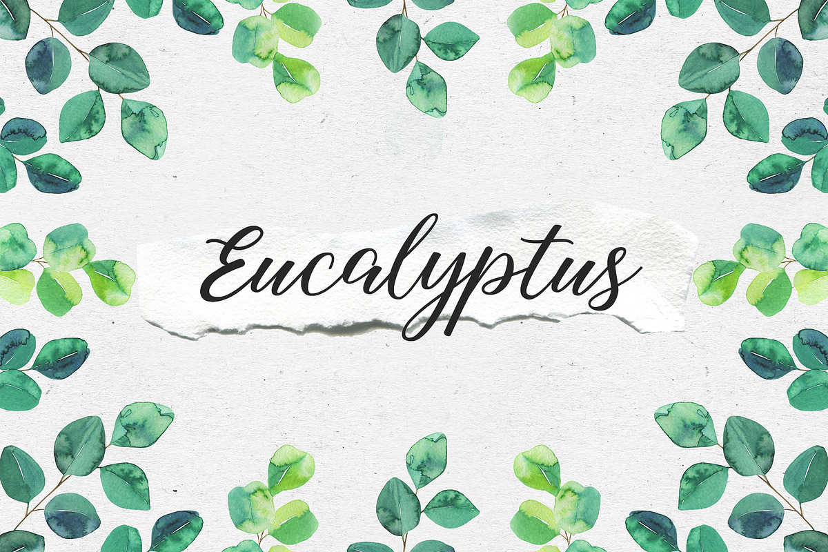 Cute eucalyptus mini set, a Decorative Illustration by Maria's little shop (Photo 1 of 7)