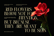 Saore Luxury Ligature Serif Font, a Serif Font by Perfectype (Thumbnail 4 of 8)