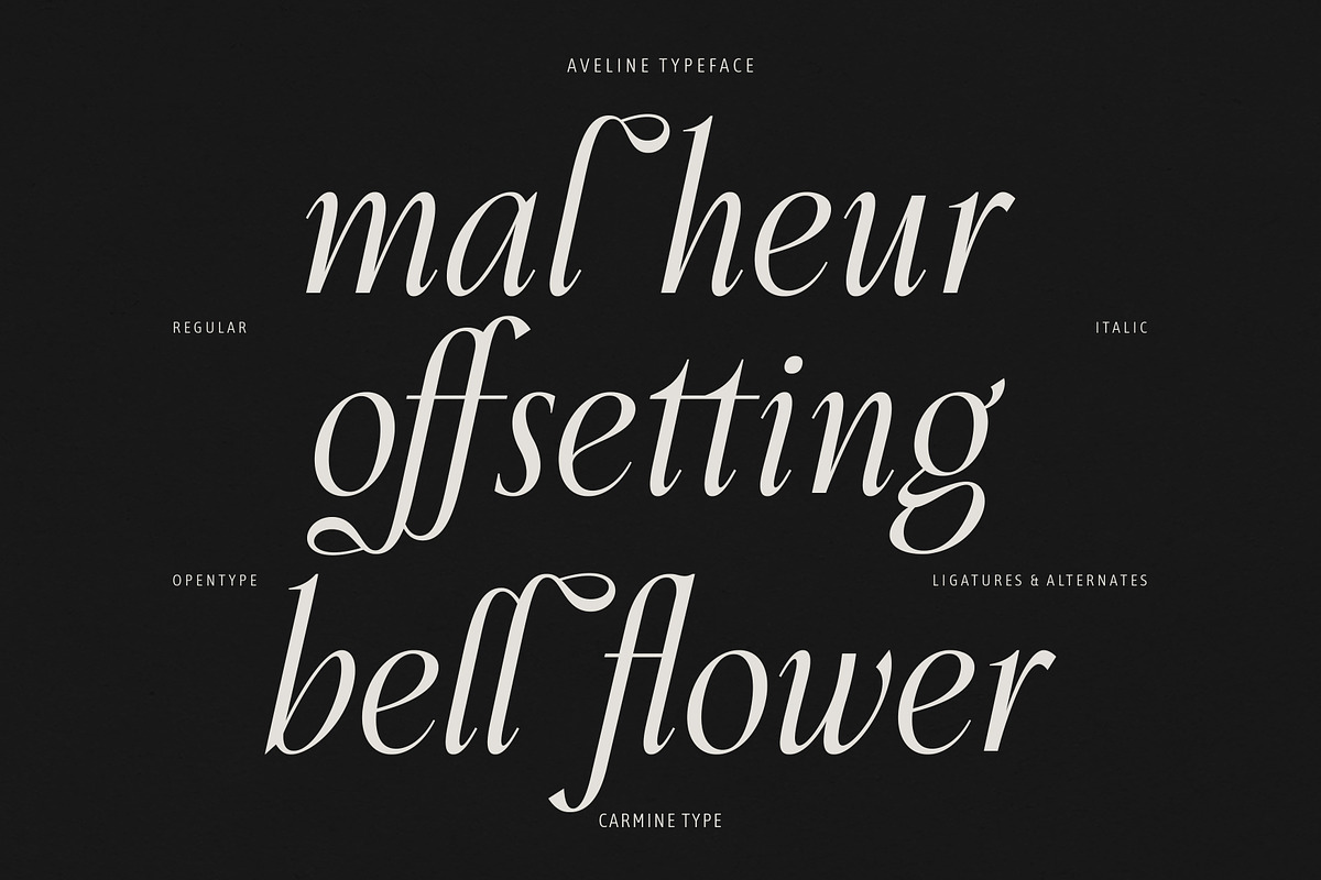 Aveline, Soft Serif with Ligatures, a Serif Font by CarmineType (Photo 16 of 28)