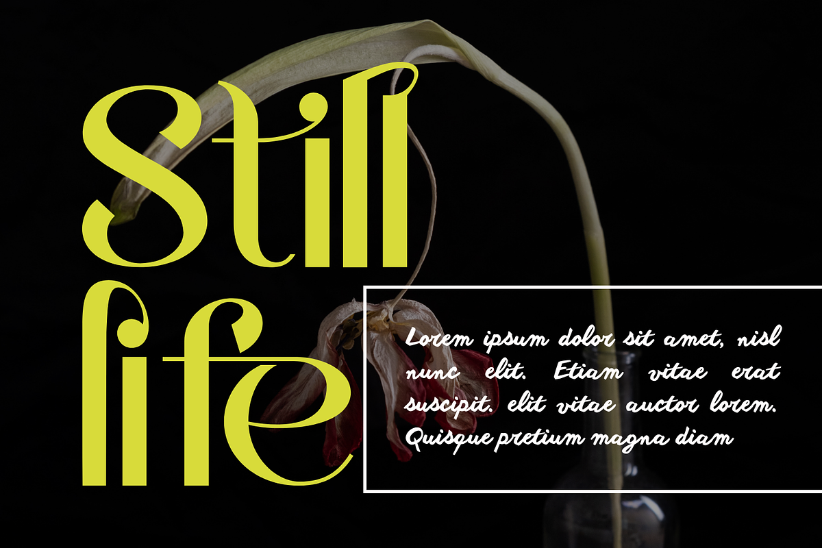 Endlessly Traditional - Ligature Fon, a Sans Serif Font by 177Studio (Photo 3 of 8)