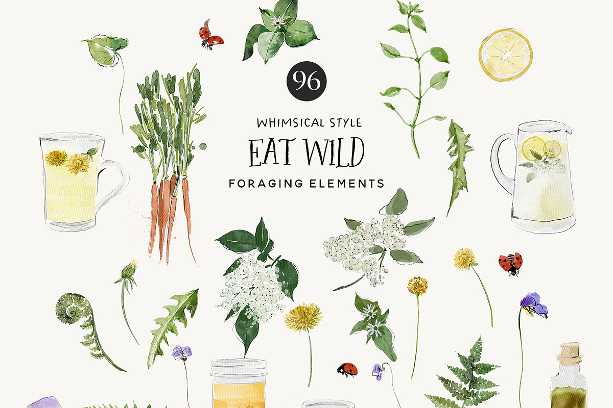Eat Wild - Spring Foraging Project, an Illustration by Isabelle Salem