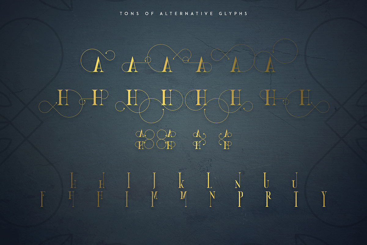 Golden Bird Serif font + Cool Extras, a Serif Font by VP Fonts (Photo 9 of 13)
