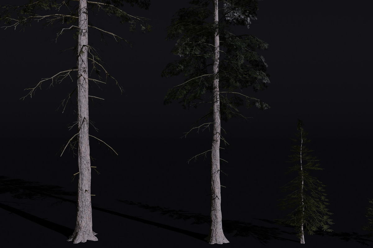 The Norway Spruce Tree, a Plants & Tree 3D Model by FuturePastCreatives (Photo 1 of 7)