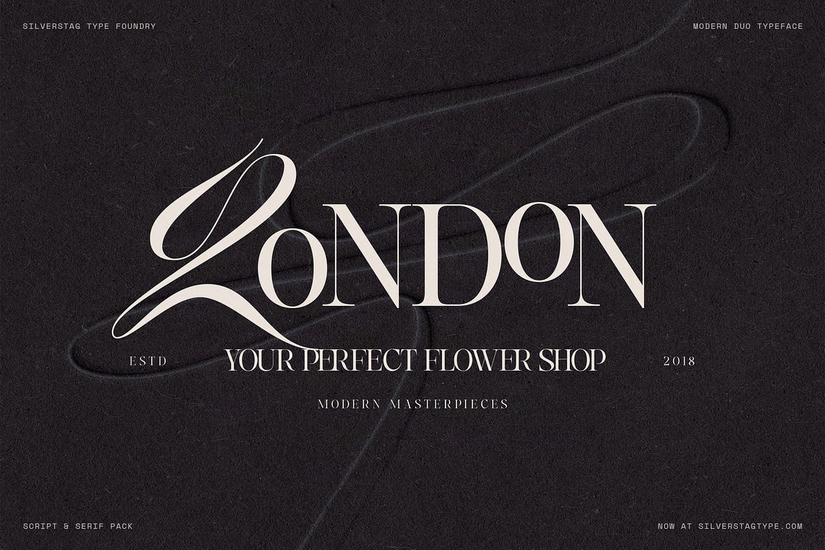 Hazel Shore - Serif & Script Duo, a Serif Font by SilverStag Type Foundry (Photo 16 of 30)
