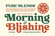 Millage - Bold Retro Serif Font, a Serif Font by Shakira Studio (Thumbnail 3 of 10)