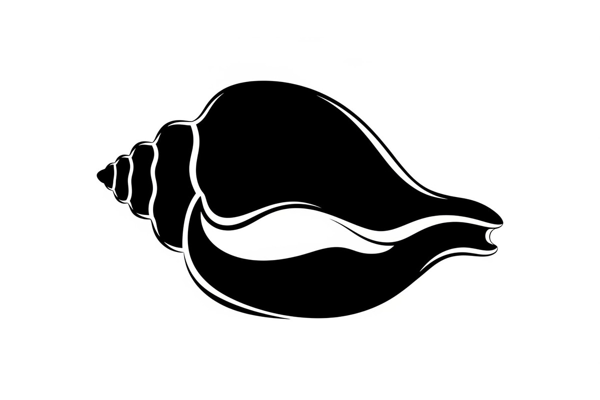 Shell Silhouette Vector Bundle, an Illustration by hafijul (Photo 45 of 48)