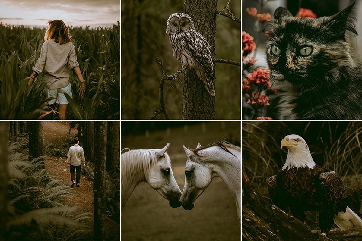 Dark & Moody Lightroom Presets, an Action Add-On by Signature Edits (Photo 10 of 20)