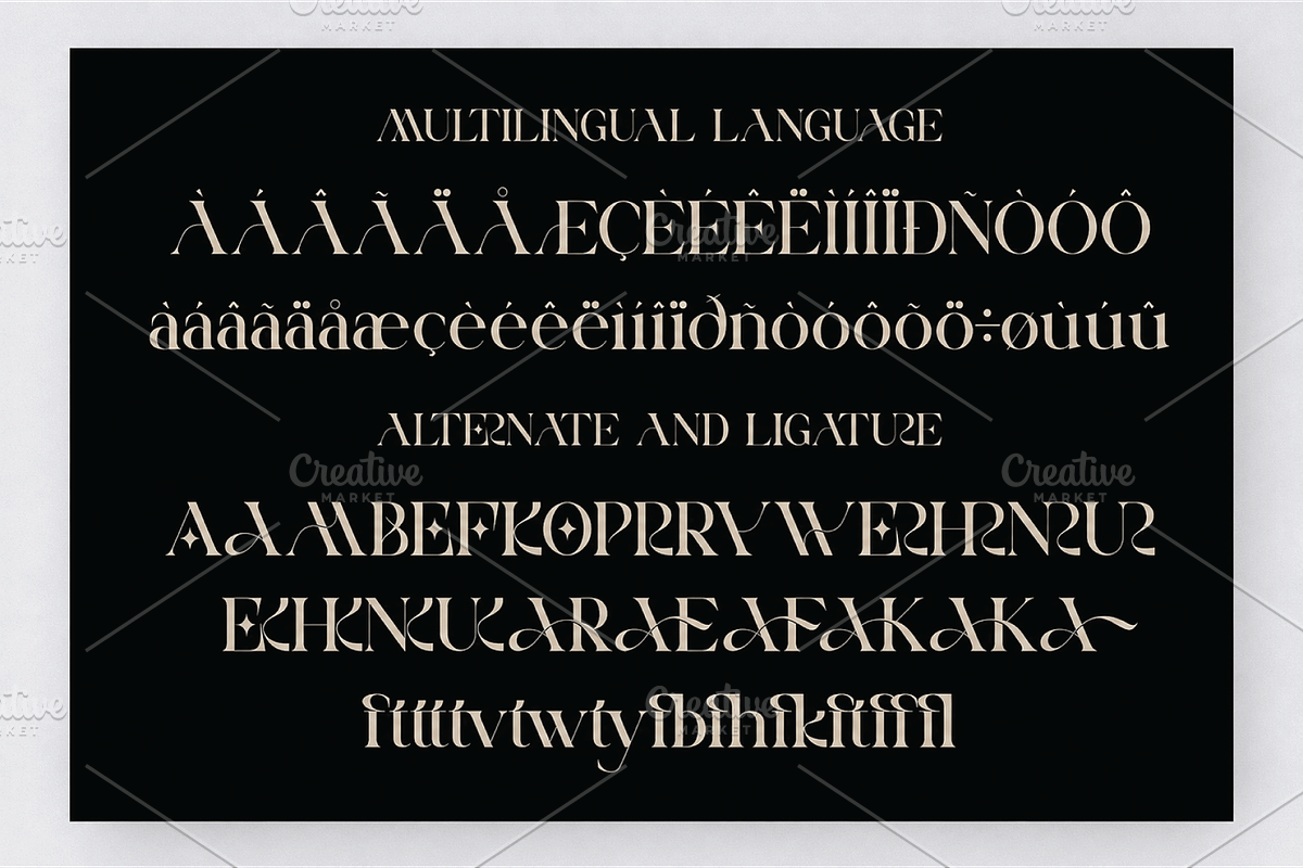 Aerisa, a Serif Font by Design House (Photo 3 of 3)