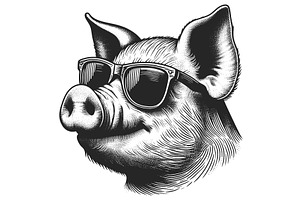 Stylish Pig With Sunglasses