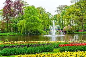 View of Keukenhof Garden, also known as the Garden of Europe, in the, a Nature Photo by Leonid Andronov