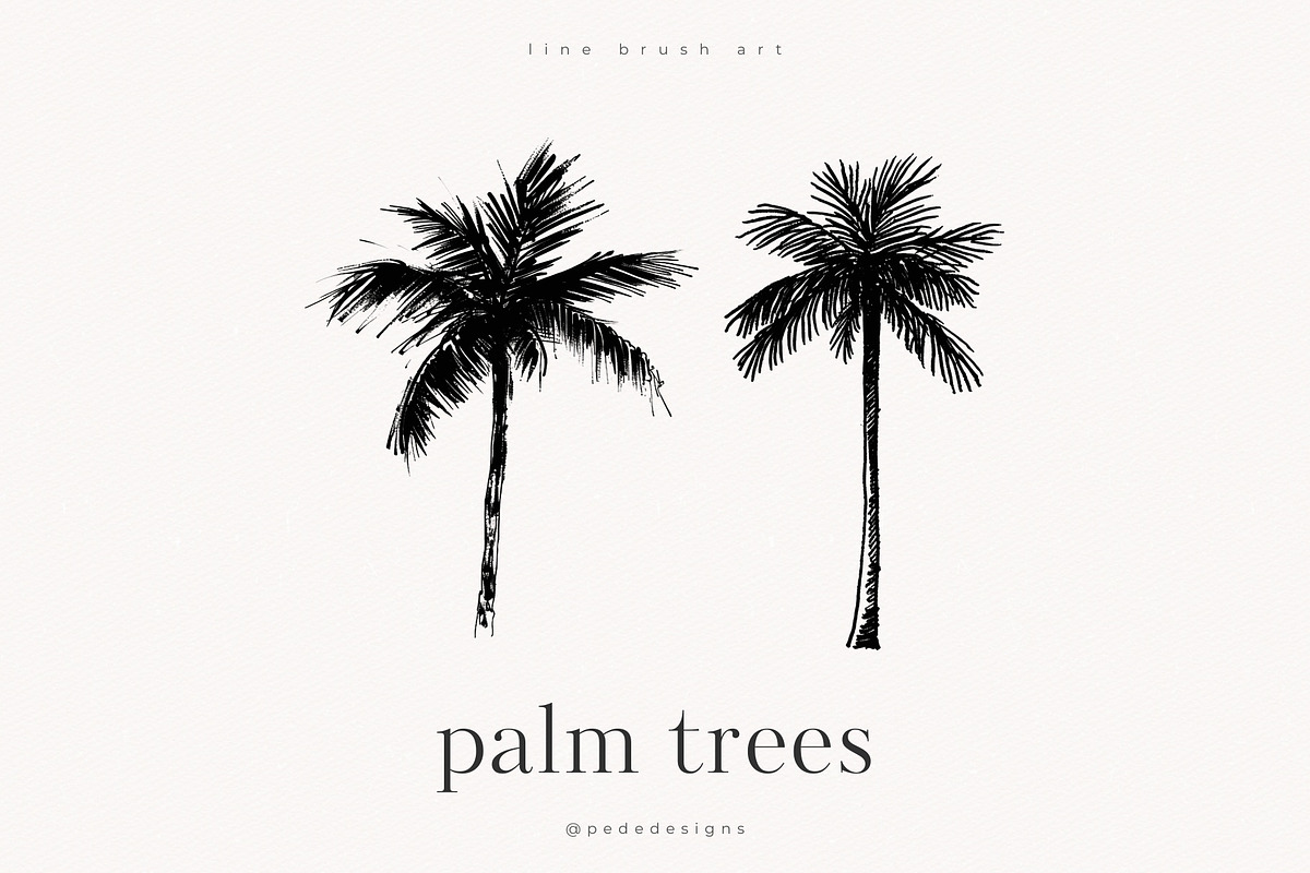 Palm Trees, an Object Illustration by PeDe Designs (Photo 2 of 9)