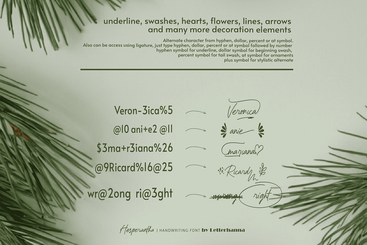 Hesperantha Font, a Handwritten Font by Letterhanna Studio (Photo 3 of 9)