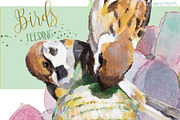 BIRDS FEEDING - Clipart set, an Illustration by watercolorwild.graphics (Thumbnail 2 of 5)