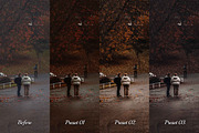 30 Rainy Fall Lightroom Collection, a Preset Add-On by 3Motional (Thumbnail 5 of 11)