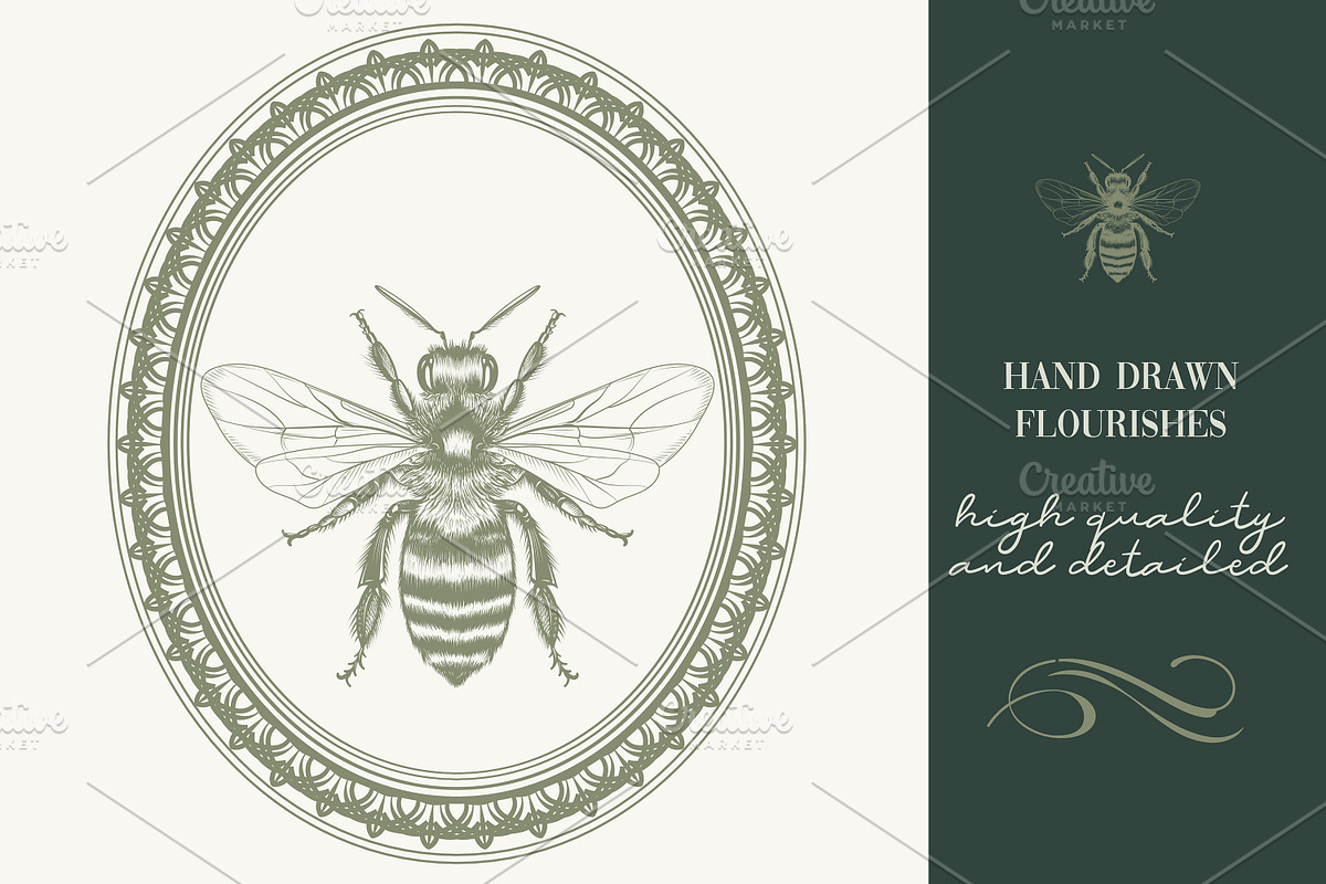 Calligraphic set of vintage flourish, an Object Illustration by FleurArt (Photo 9 of 12)