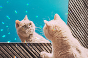 Crystal Prism Light / 30 Overlays, a Layer Style Add-On by Julie&Taily (Thumbnail 13 of 13)