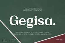 Gegisa - (54 Font Family)