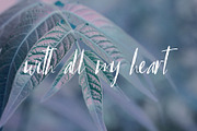 LaShaye Font, a Script Font by SophieSaxo (Thumbnail 7 of 9)