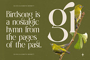 Eternalo Bold Luxury Modern Serif, a Serif Font by timelesstype.co (Thumbnail 6 of 20)