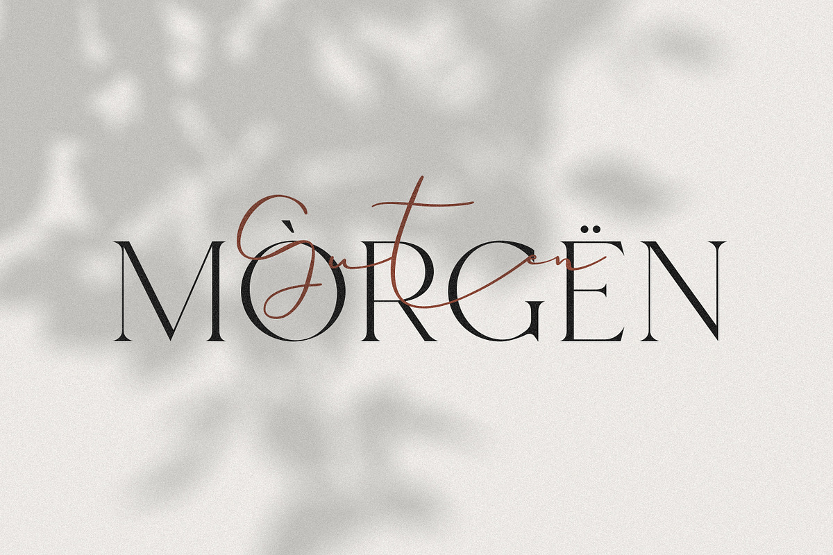 Hello Paris - Variable Duo, a Serif Font by Sans & Sons (Photo 22 of 29)
