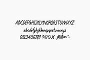 Little Object, a Script Font by TKDoodle (Thumbnail 4 of 7)