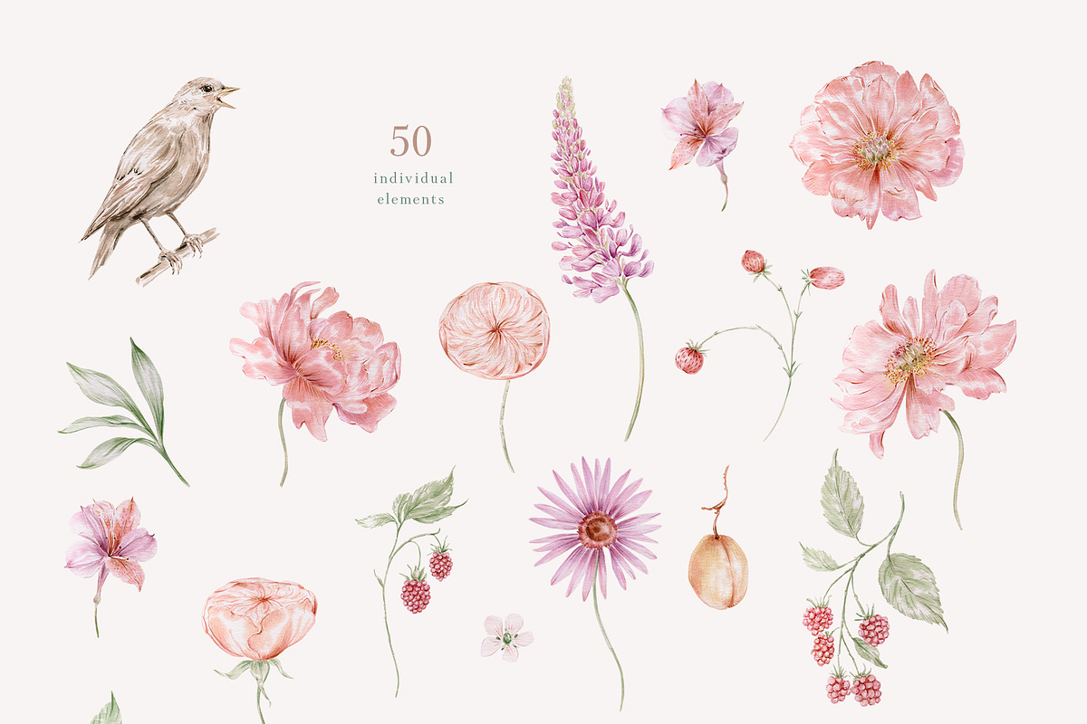 Peach peonies, roses, garden flowers, an Illustration by astelenadesign (Photo 14 of 16)