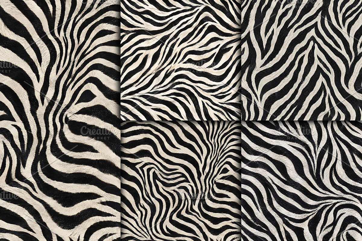 Realistic Black White Zebra Texture, a Pattern Graphic by Artonix (Photo 4 of 4)