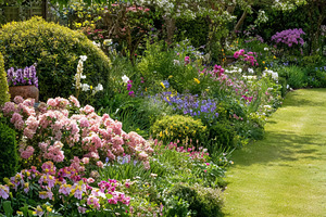 Lush garden border blooming with colorful flowers and green plan, a Photo by Studio ANNA