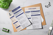 Professional Application CV Template, a Print Template by Snapybiz (Thumbnail 2 of 10)