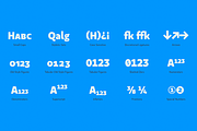 Kappa Typefamily, a Font by W Type Foundry (Thumbnail 13 of 13)
