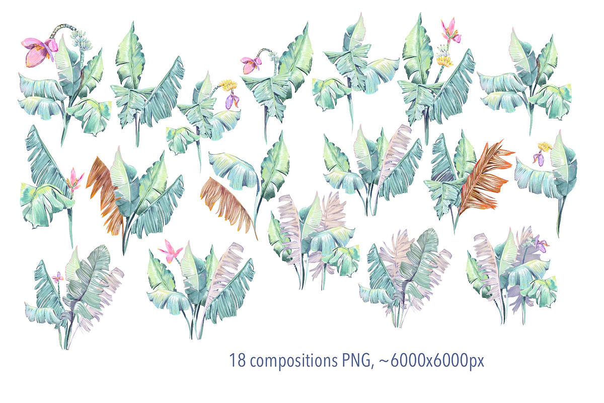 Banana blossom plants Watercolor set, an Illustration by Shabbypie (Photo 6 of 13)