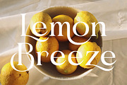 Blush Honey Modern Serif Font, a Serif Font by timelesstype.co (Thumbnail 17 of 20)