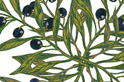 Mediterranean olive branch set, a Pattern Graphic by NayaChu (Thumbnail 8 of 11)