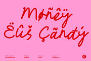 CS Boya – Monoline Script Font, a Script Font by Craft Supply Co. (Thumbnail 5 of 8)