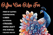 Wedding Peacock Clipart, an Illustration by CreationArt (Thumbnail 5 of 9)