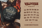 The Wildtern Typeface, a Serif Font by Burntilldead (Thumbnail 11 of 13)