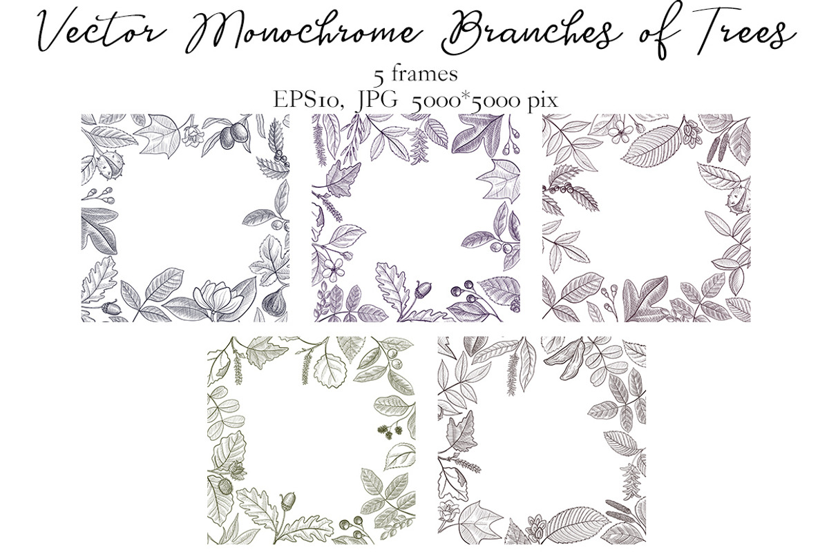 Vector Monochrome Branches of Trees, an Illustration by cat_arch_angel (Photo 10 of 12)