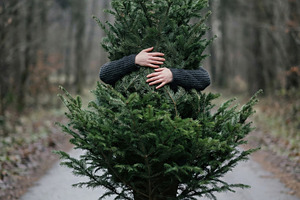 Woman Embracing Fresh Fir Tree, a Person Photo by Virgo Studio