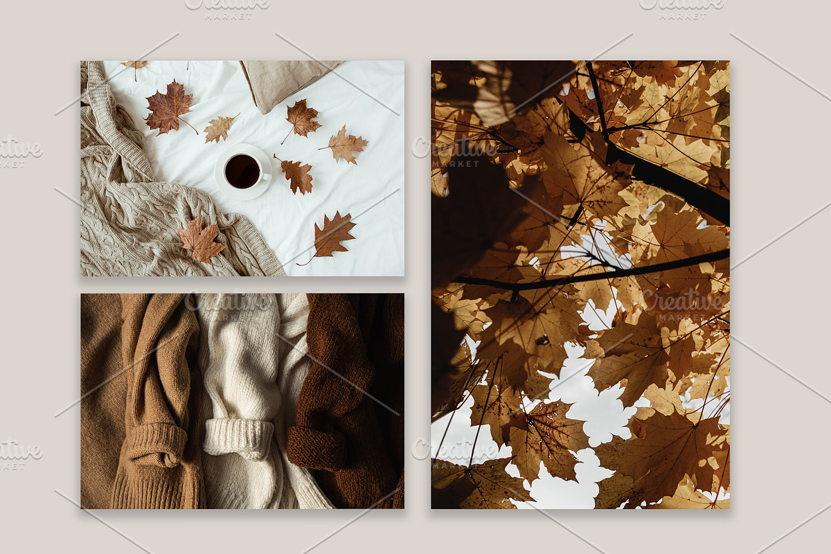 Fall Collection 3, a Beauty & Fashion Photo by Floral Deco (Photo 5 of 8)