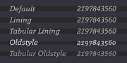 Legit Slab, a Slab Serif Font by Finaltype (Thumbnail 4 of 12)