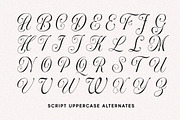 Aurora Moonlight Dreamy Serif, a Serif Font by Letterhend Studio (Thumbnail 10 of 12)