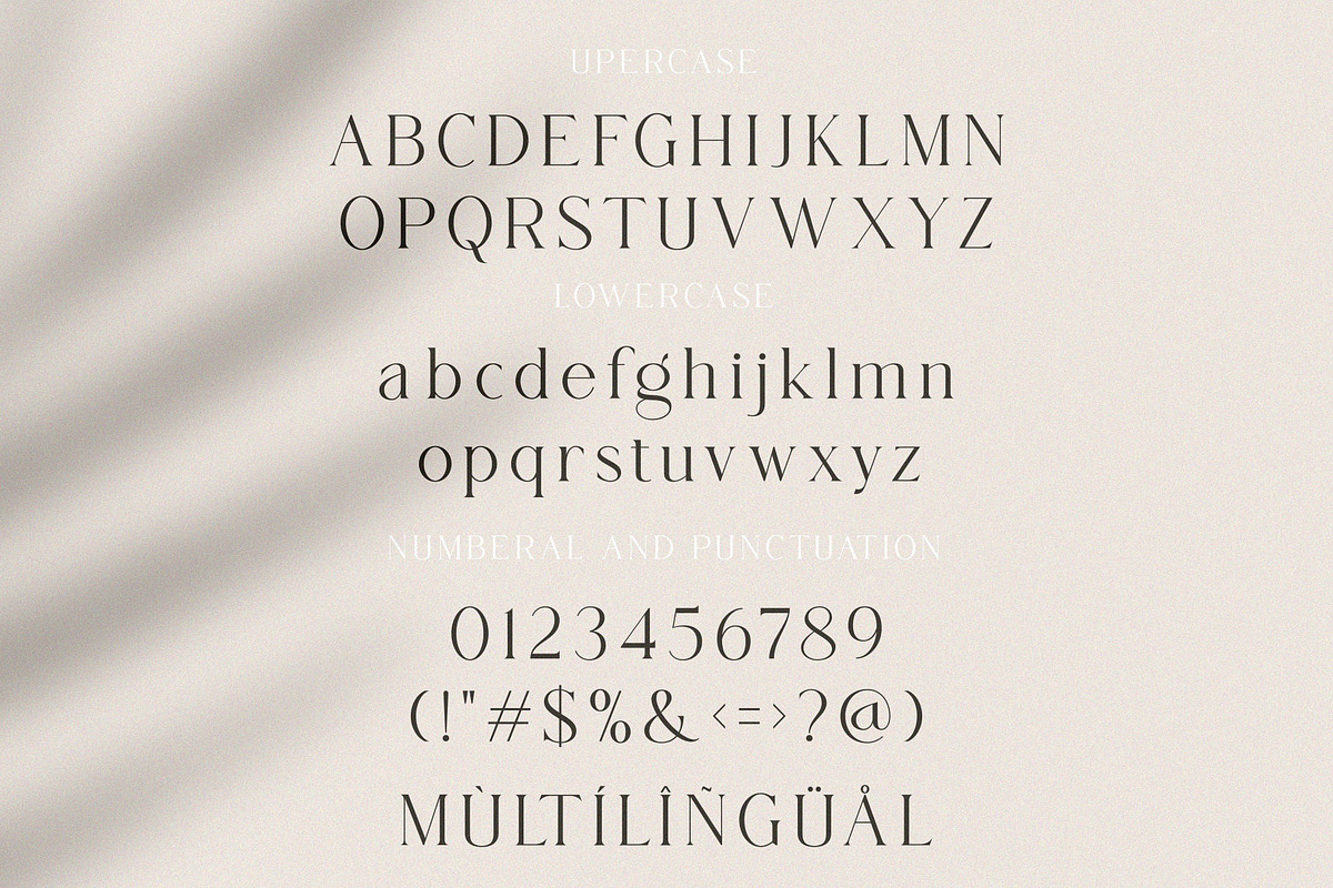 Regina, a Serif Font by ToniStudio (Photo 2 of 8)