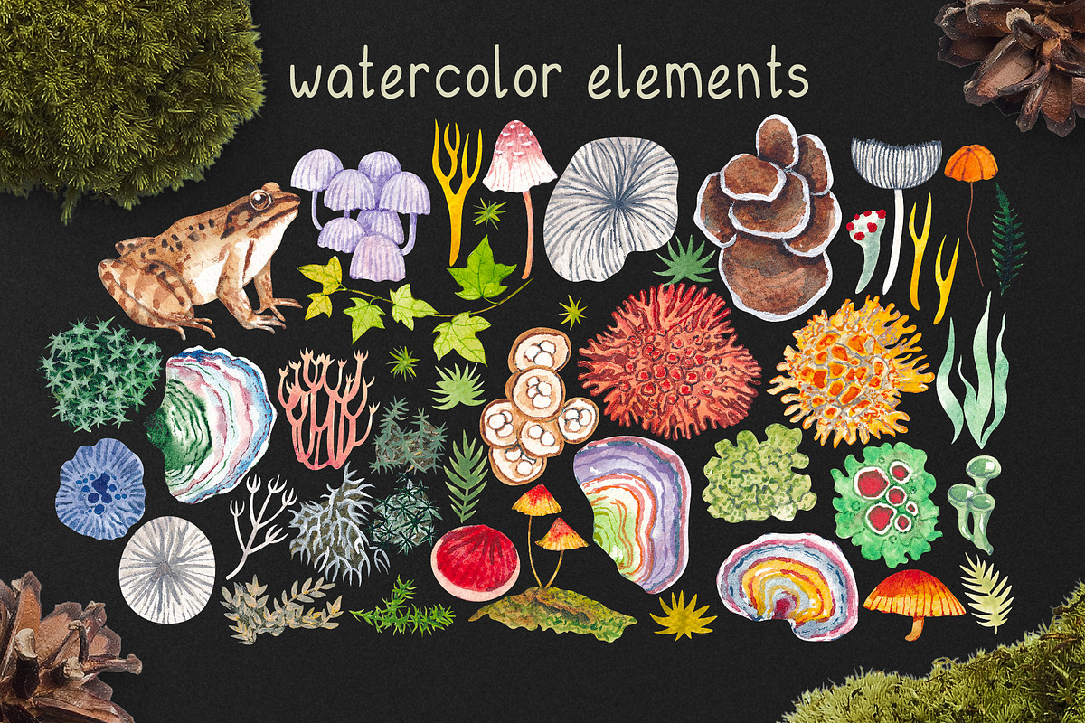 Colors of the forest, a Decorative Illustration by Kuzya's shop (Photo 2 of 6)