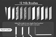 Calligraphy Shape Grids & Brushes, a Brush Add-On by Magnatype (Thumbnail 6 of 7)