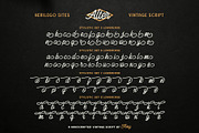 Herilego Sites Typeface, a Script Font by alit design (Thumbnail 10 of 17)