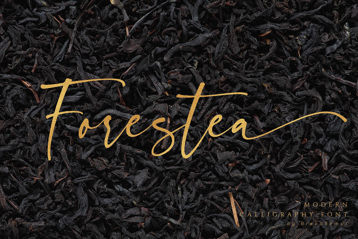 Forestea - Classy Script, a Script Font by BrandSemut (Photo 14 of 14)